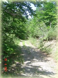 Promenade et randonnée aux alentours