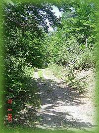 Promenade et randonnée à proximité de Venterol
